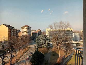 vista